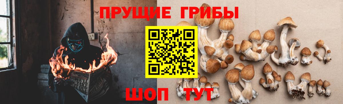 Псилоцибиновые грибы мухоморы  Галлюциногенные грибы Psilocybe  Вход с VPN  Армавир 